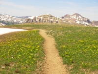 The Trail Leads On